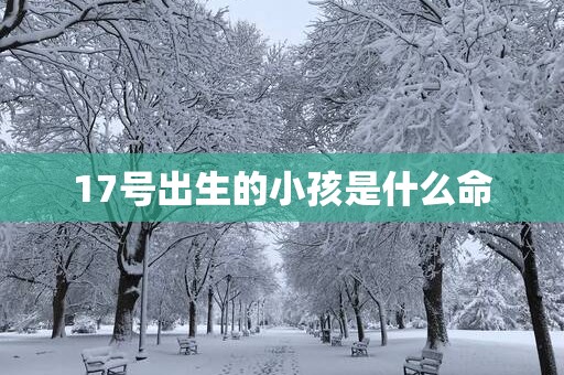 17号出生的小孩是什么命