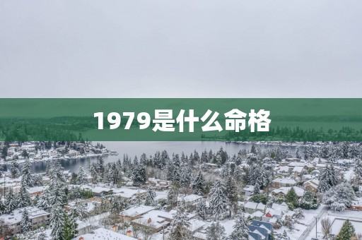 1979是什么命格