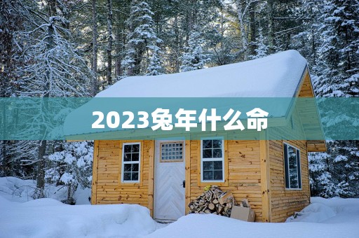 2025蛇年什么命