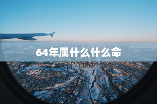 64年属什么什么命