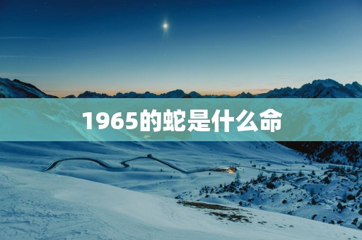 1965的蛇是什么命