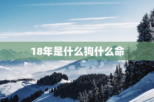 18年是什么狗什么命