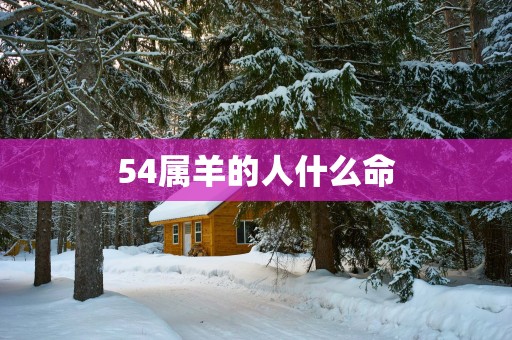 54属羊的人什么命