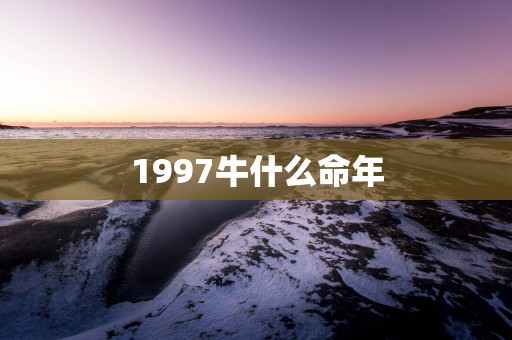 1997牛什么命年