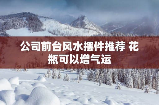 公司前台风水摆件推荐 花瓶可以增气运