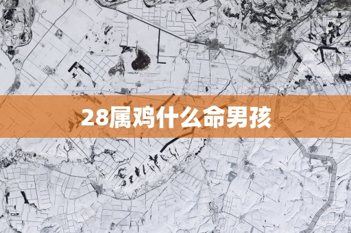28属鸡什么命男孩