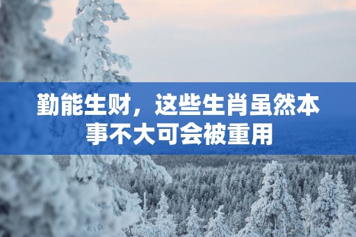 勤能生财，这些生肖虽然本事不大可会被重用