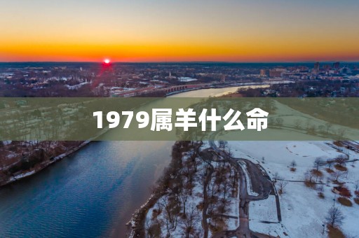 1979属羊什么命