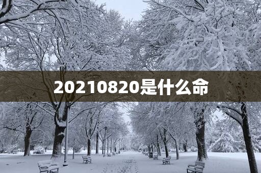 20250820是什么命