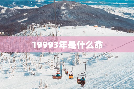 19993年是什么命