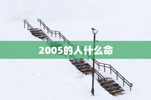 2005的人什么命