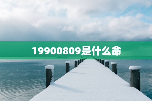 19900809是什么命