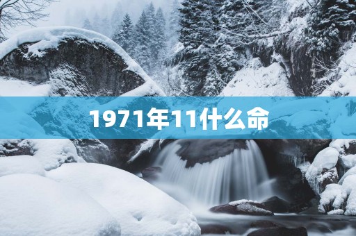 1971年11什么命