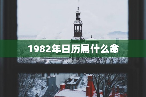 1982年日历属什么命