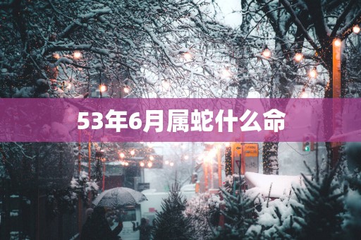 53年6月属蛇什么命