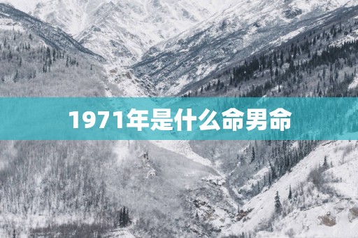 1971年是什么命男命