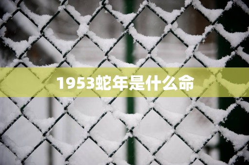 1953蛇年是什么命