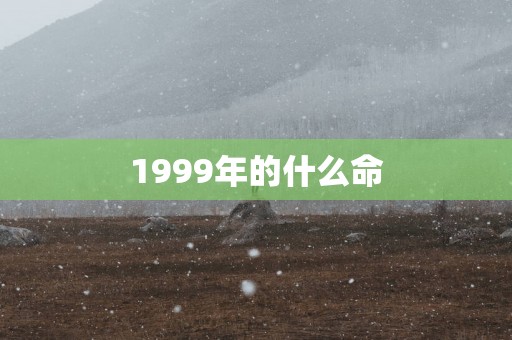 1999年的什么命
