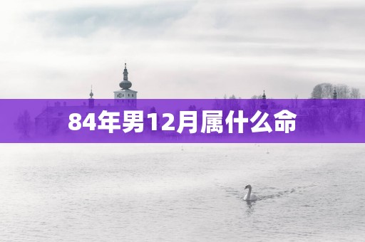 84年男12月属什么命