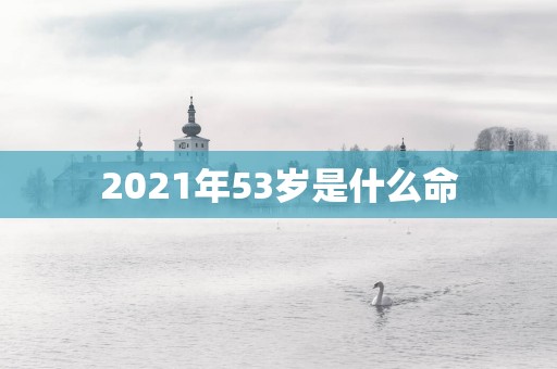2025年53岁是什么命