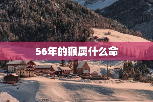 56年的猴属什么命