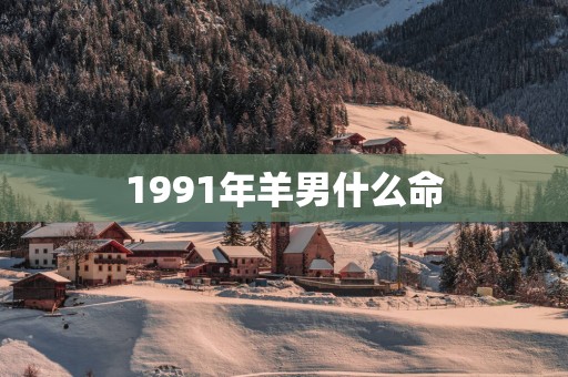 1991年羊男什么命