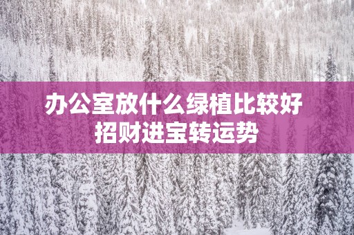 办公室放什么绿植比较好 招财进宝转运势