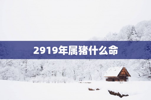 2919年属猪什么命