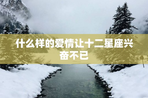 什么样的爱情让十二星座兴奋不已