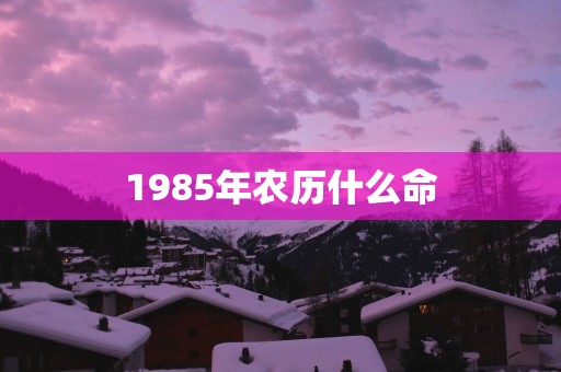 1985年农历什么命