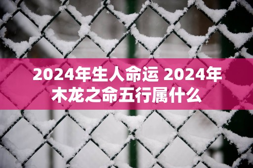 2025年生人命运 2025年木龙之命五行属什么