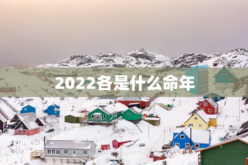 2025各是什么命年