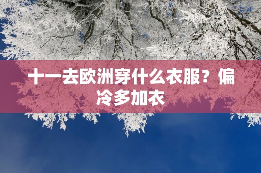 十一去欧洲穿什么衣服？偏冷多加衣