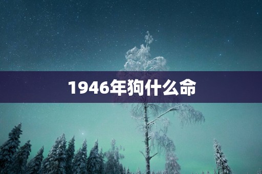 1946年狗什么命