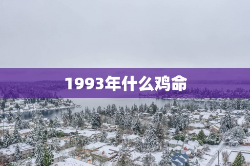 1993年什么鸡命