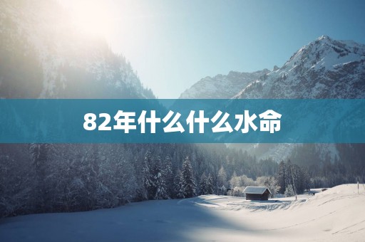 82年什么什么水命