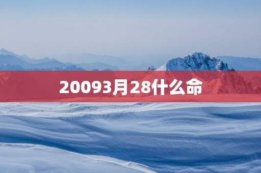 20093月28什么命