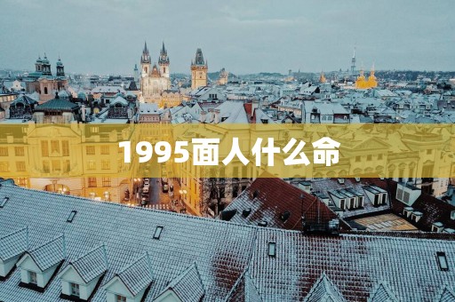 1995面人什么命