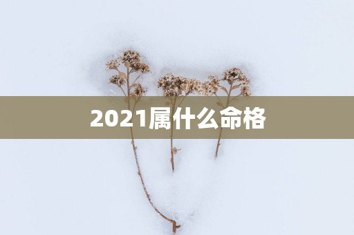 2025属什么命格
