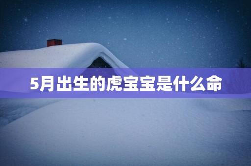 5月出生的虎宝宝是什么命