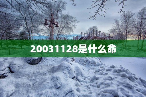 20031128是什么命