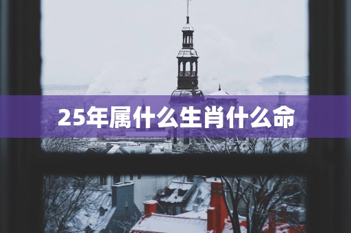 25年属什么生肖什么命
