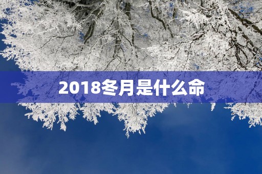 2018冬月是什么命