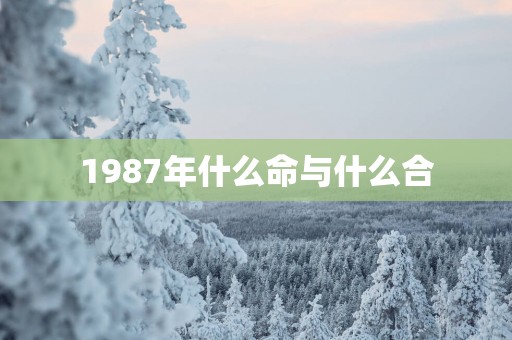 1987年什么命与什么合