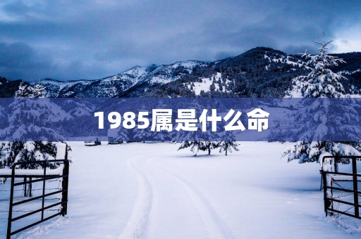 1985属是什么命