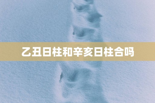 乙丑日柱和辛亥日柱合吗