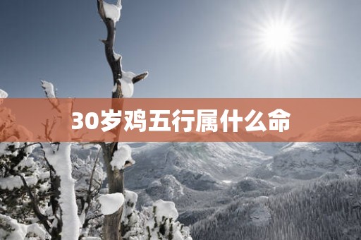 30岁鸡五行属什么命