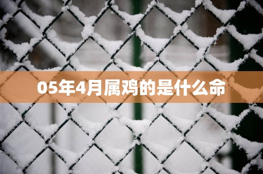 05年4月属鸡的是什么命