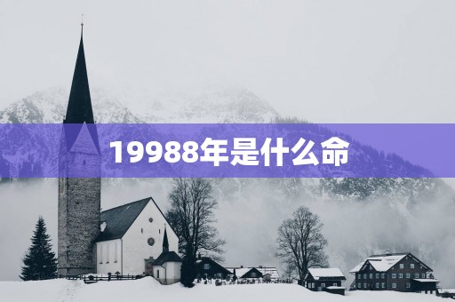 19988年是什么命
