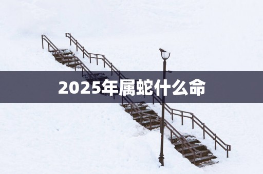 2025年属蛇什么命
